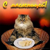 Масленица открытка поздравление в стихах прикольная
