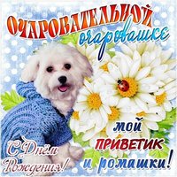 Милая открытка на день рождения