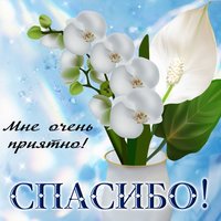 Мне очень приятно, спасибо
