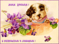 Моим друзьям с нежностью и любовью