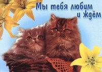 Мы тебя любим и ждём