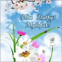 навруз муборак картинка