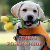 Необычная открытка с днем рождения