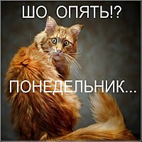 Ну вот опять понедельник картинка прикольная