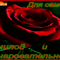 Открытка с красной розой самой милой и очаровательной
