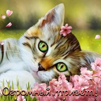 Огромный привет
