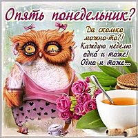 Опять понедельник смешная картинка утро