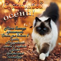 Осенний котик