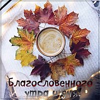 Осенняя картинка благословенного утра и дня