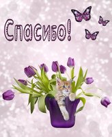 От всей души спасибо