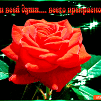 От всей души всего прекрасного