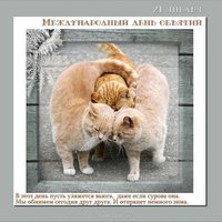 Открытка 21 января международный день объятий