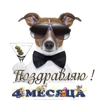 Открытка 4 месяца поздравление мальчику