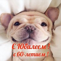 Открытка 60 юбилей