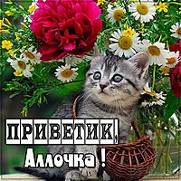 Открытка Аллочка приветик