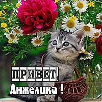 Открытка Анжелика привет