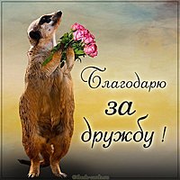 Открытка благодарю за дружбу