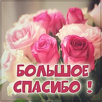 Открытка большое спасибо с цветами
