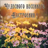 Открытка чудесного весеннего настроения