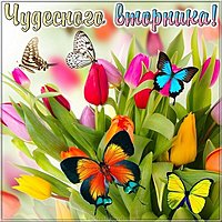 Открытка чудесного вторника