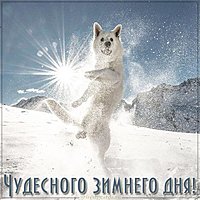 Открытка чудесного зимнего дня