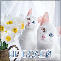 Открытка для больного ребенка