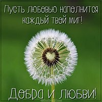 Открытка добра и любви