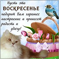Открытка добрый воскресный день