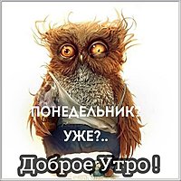 Открытка доброе утро понедельника прикольная картинка