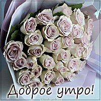 Открытка доброе утро с розами