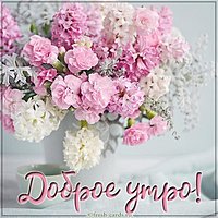 Открытка доброе утро цветы без повода