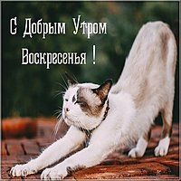 Открытка доброе утро воскресенье бесплатная