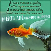 Открытка доброго дня отличного настроения мужчине