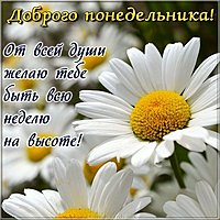 Открытка доброго понедельника
