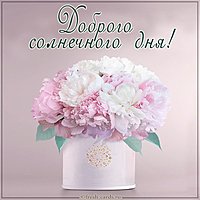 Открытка доброго солнечного дня