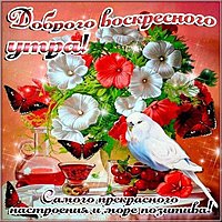 Открытка доброго весеннего воскресного утра и дня