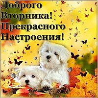 Открытка доброго вторника и хорошего настроения
