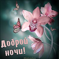 Открытка доброй ночи переслать