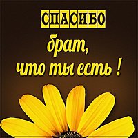 Открытка дорогому брату спасибо что ты есть