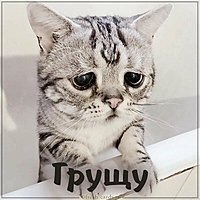Открытка грущу