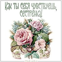 Открытка как ты себя чувствуешь сестренка