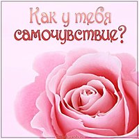 Открытка как у тебя самочувствие