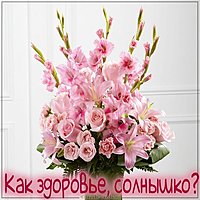 Открытка как здоровье солнышко