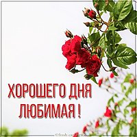 Открытка хорошего дня любимой женщине