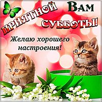 Открытка хорошего субботнего настроения