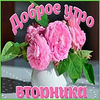 Открытка ко вторнику