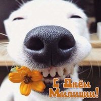 Открытка красивая на день милиции