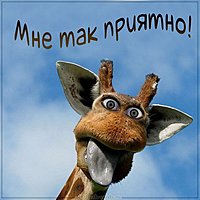 Открытка мне так приятно