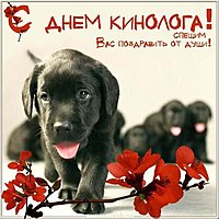 Открытка на день кинолога