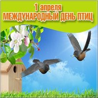 Открытка на день птиц